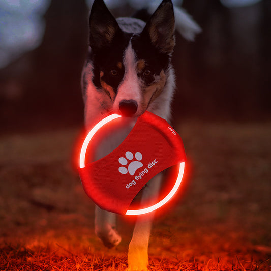 Orange LED Rechargeable Dog Flying Disc - Glow-in-the-Dark Pet Training Toy with Paw Design